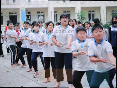 齿轮与方块组合，代表工具属性